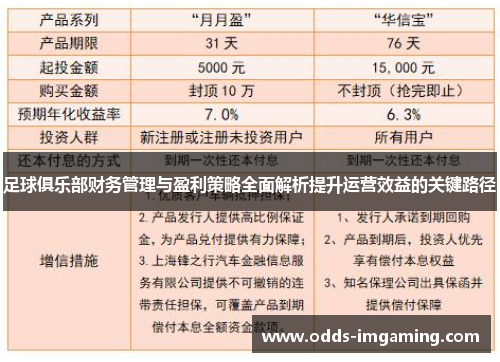 足球俱乐部财务管理与盈利策略全面解析提升运营效益的关键路径