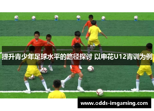 提升青少年足球水平的路径探讨 以申花U12青训为例
