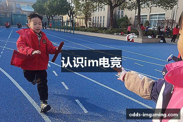 认识im电竞